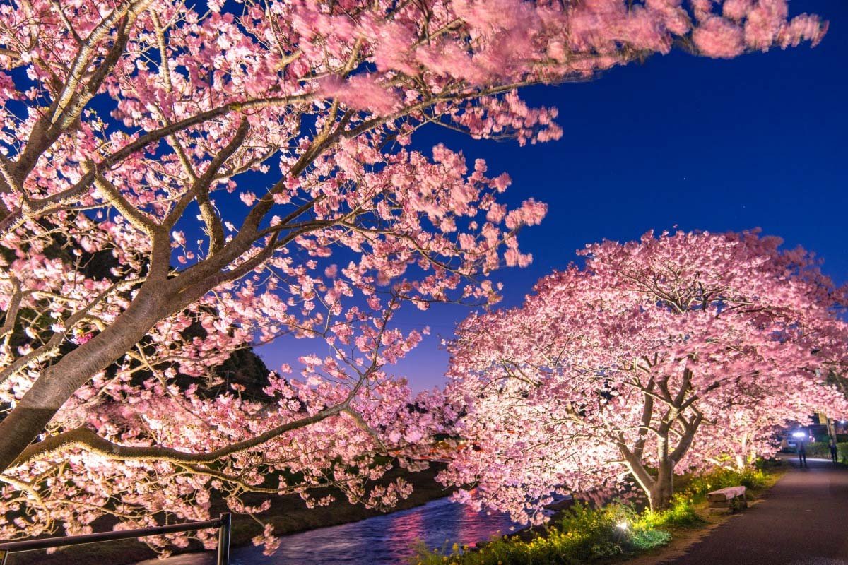 🌳 히가시야마토미나미 공원 이미지 7